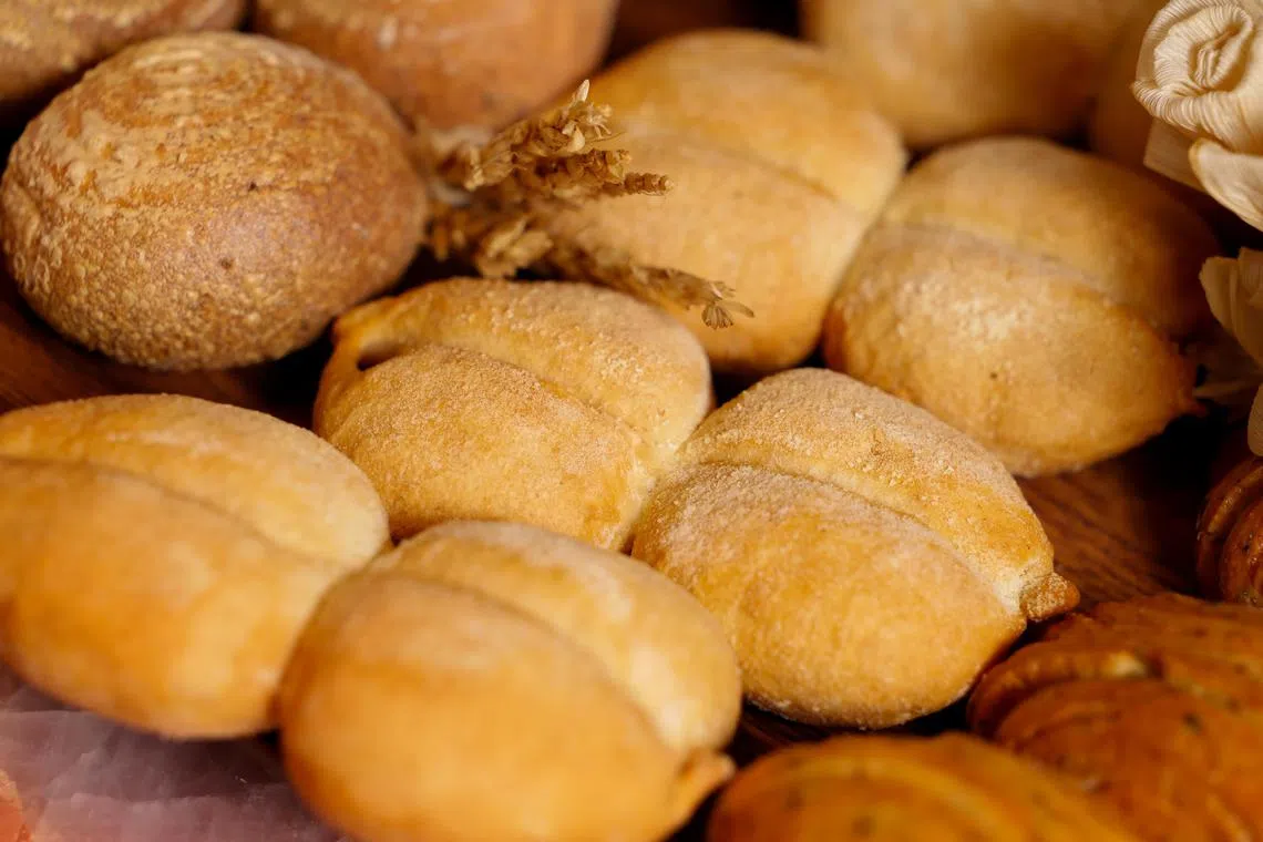 马拉奎塔面包Marraqueta是智利最具标志性的面包。（龙国雄摄）