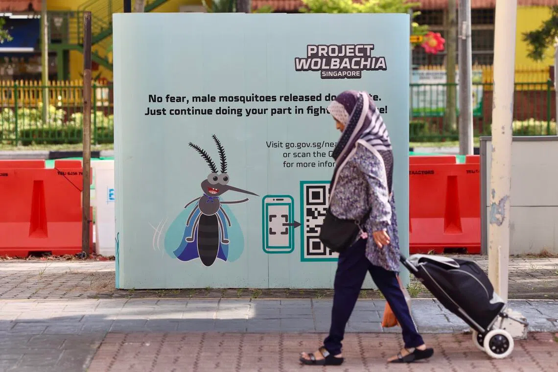 环境局2016年推出的伊蚊绝育计划范围再扩大，1月底陆续纳入另四个地区后，覆盖全岛74万户家庭。 （档案照片）