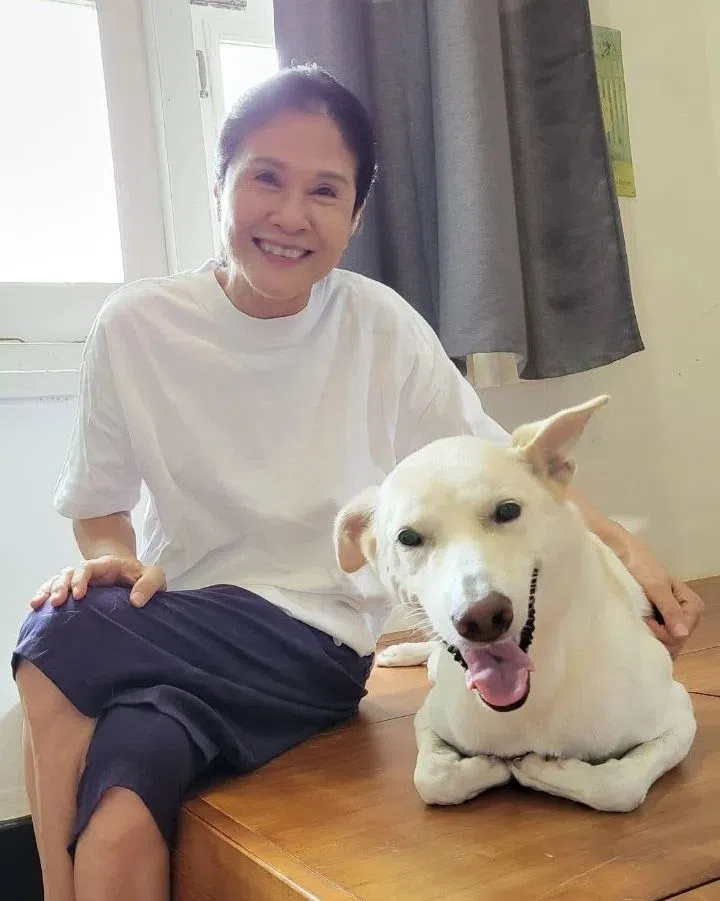 资深艺人林梅娇和女儿黄暄婷都是热爱动物的人。（取自林梅娇IG）