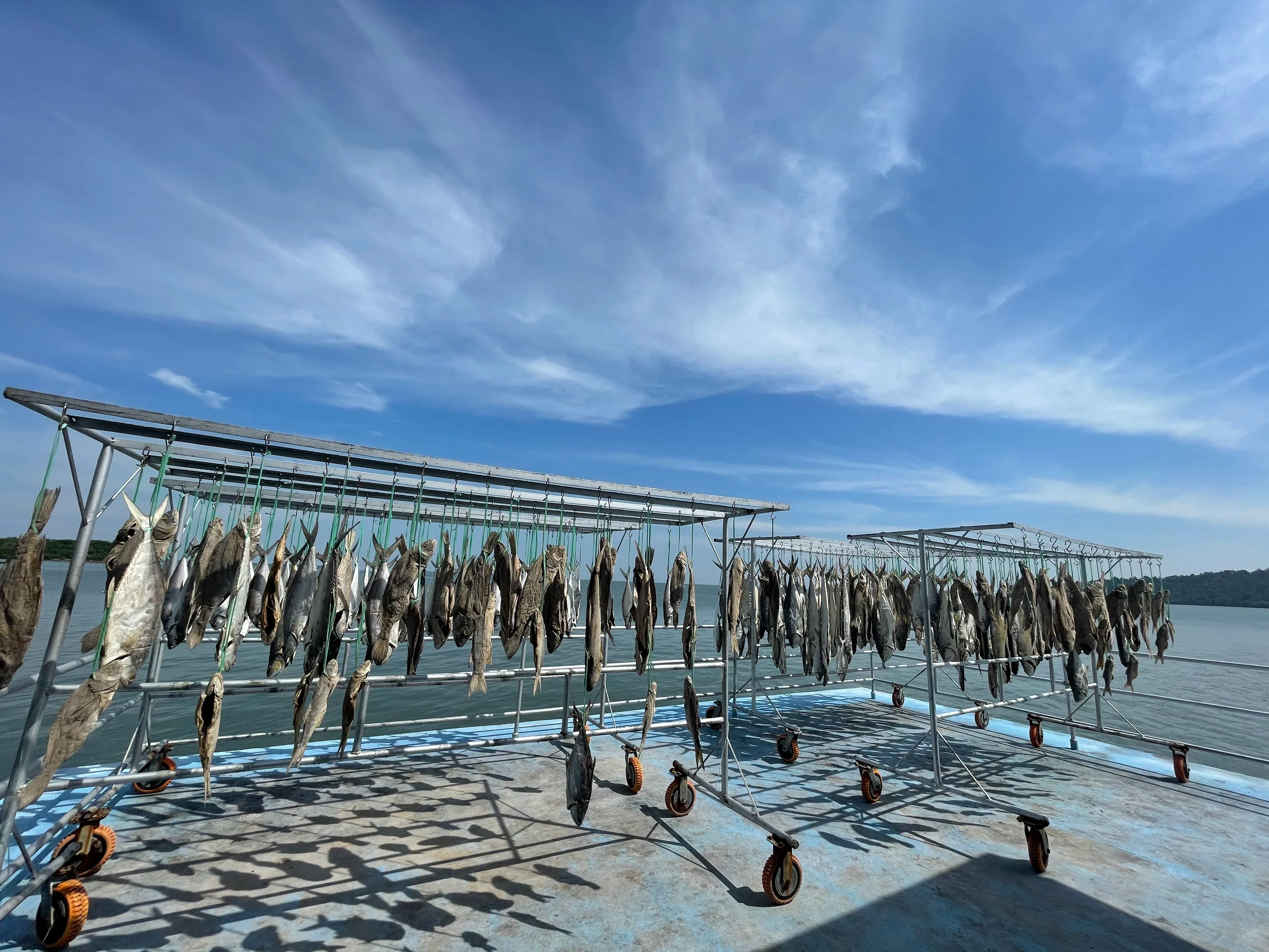 晒海产是森森水屋区一道风景线。（李选楼摄）