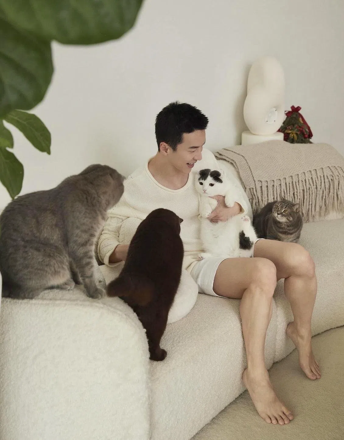 一年前的圣诞节，王冠逸在社媒分享与四只爱猫Tomu、Tora、Toki和 Toto的合照。（取自艺人IG）