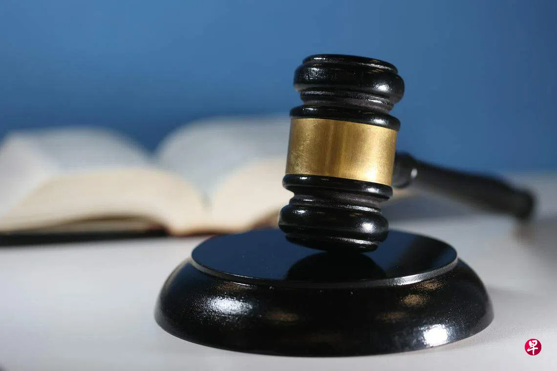 新法拟赋予警方更大权力逮捕对他人构成安全威胁者| 联合早报