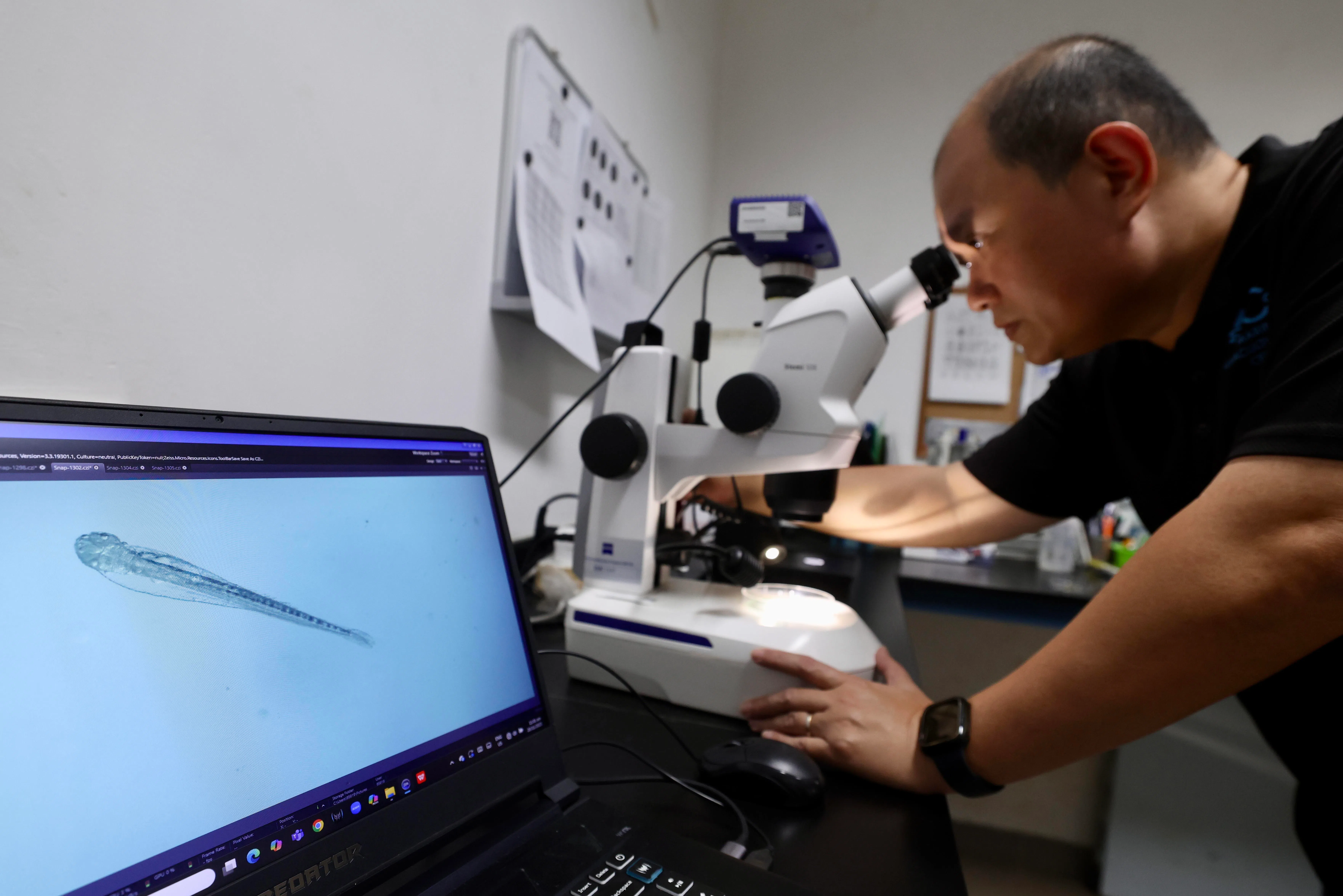 廖伟强指出，红鲷鱼在室内养殖期间将通过实验室检测，确保鱼苗健康且无疾病风险。（陈斌勤摄）