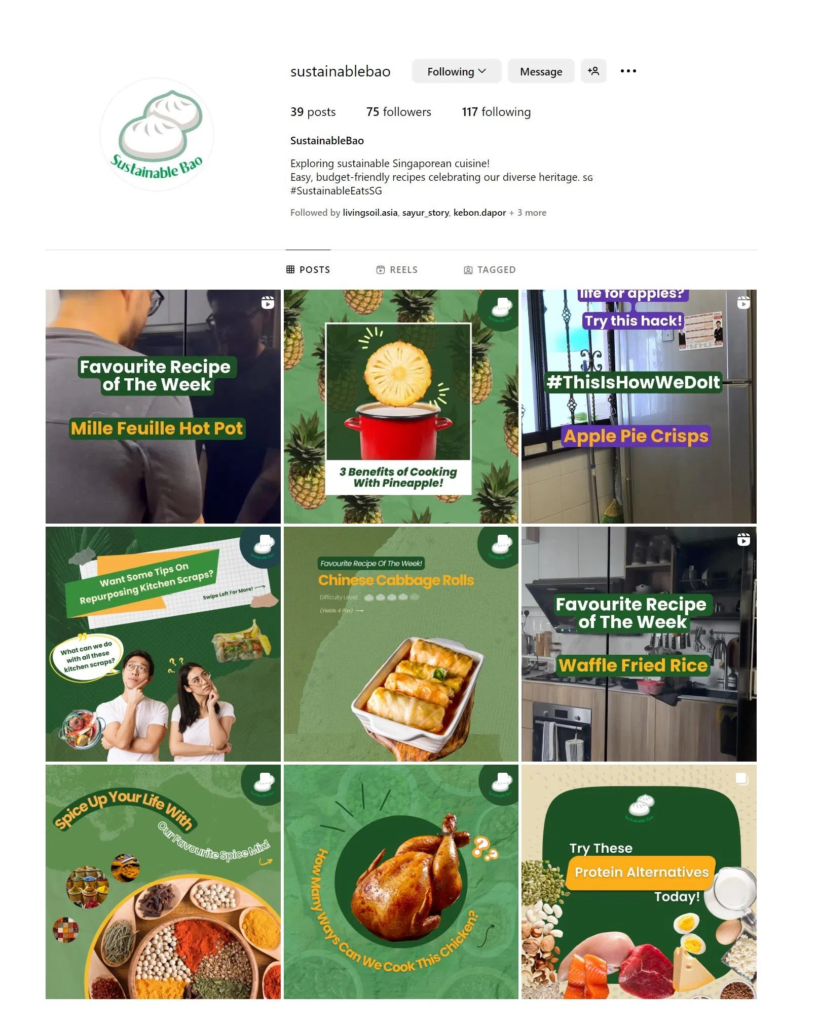 “永续包”2023年10月开始在社媒提供环保建议。（@sustainablebao IG截图）