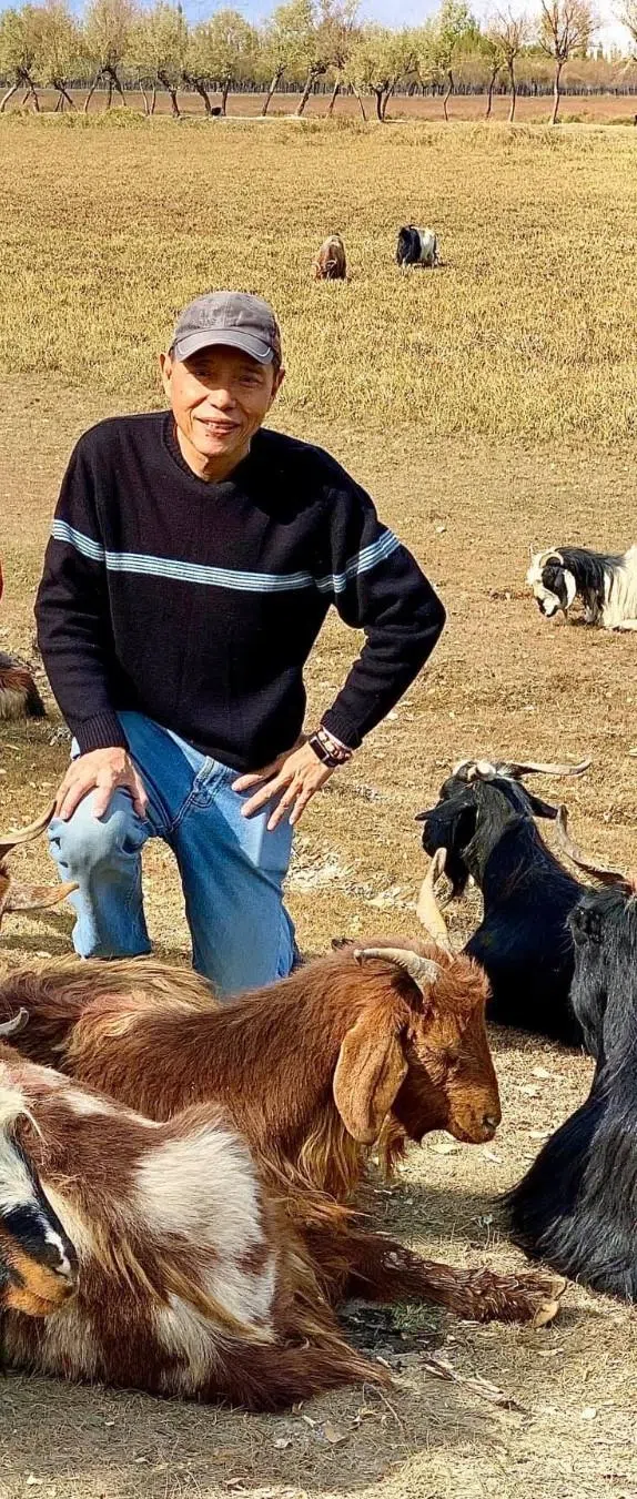 联合早报旅游作者王华儿说，新疆地广路遥，如果想做深度旅游，建议分为北疆和南疆之行。（王华儿提供）