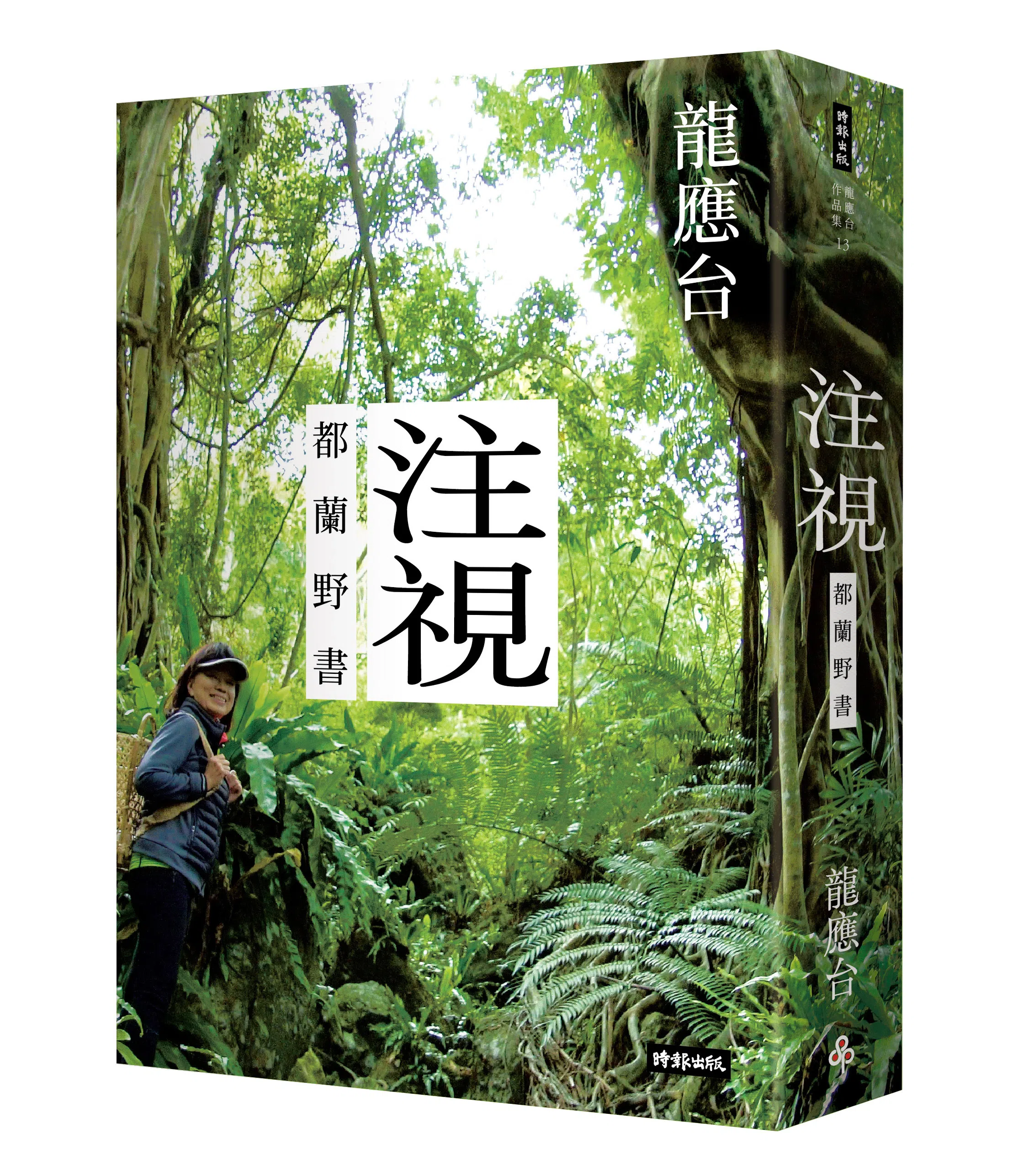 龙应台的新书《注视—都兰野书》，有评论家说这是“温柔一点”的《野火集》。（出版社提供）