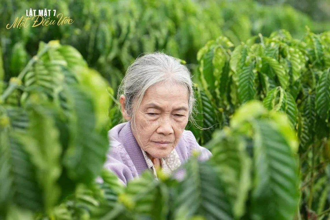 70岁越南演员清娴在51岁才开始演戏。（取自LLy Hai IG）