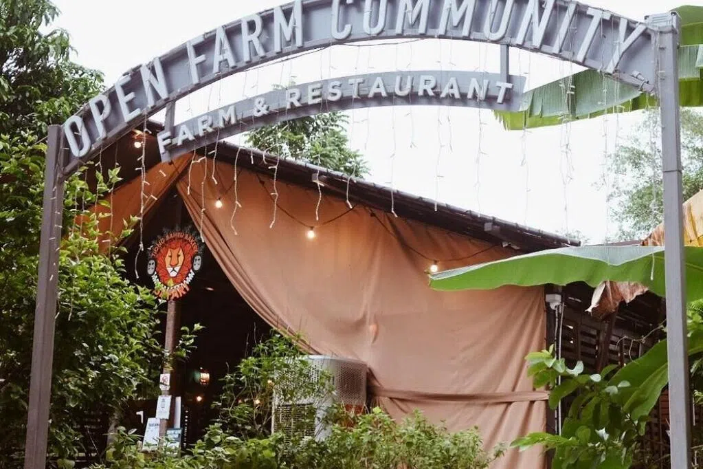 本地首个菜园餐馆Open Farm Community将结束营业