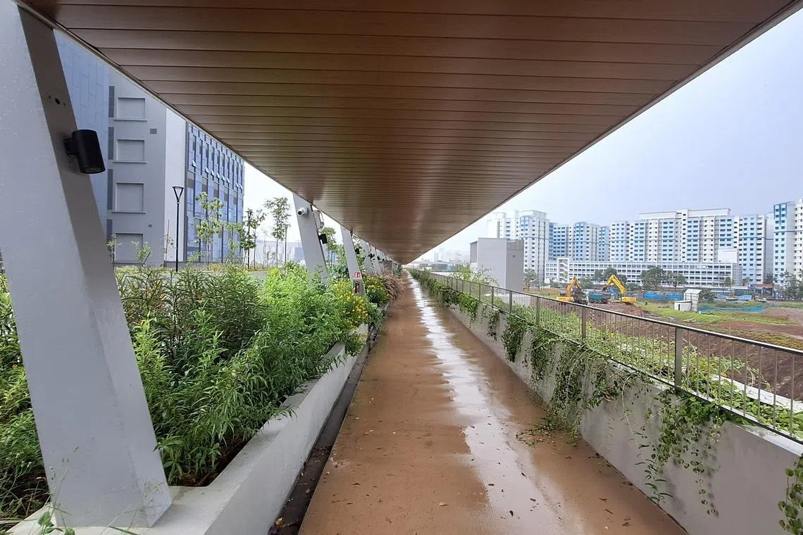 星越科技在登加新镇的户外走道等环境中进行测试与优化，同时探讨融入隔热漆等降温元素，让人们能舒服地在户外活动。（受访者提供）