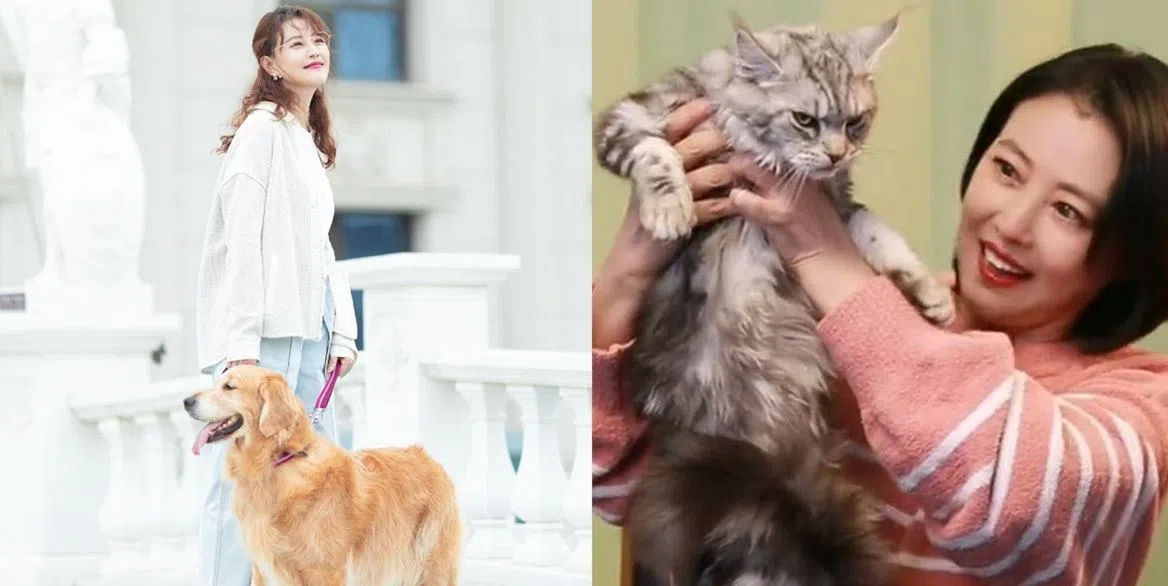 周海媚生前身边有很多宠物陪伴。（互联网）