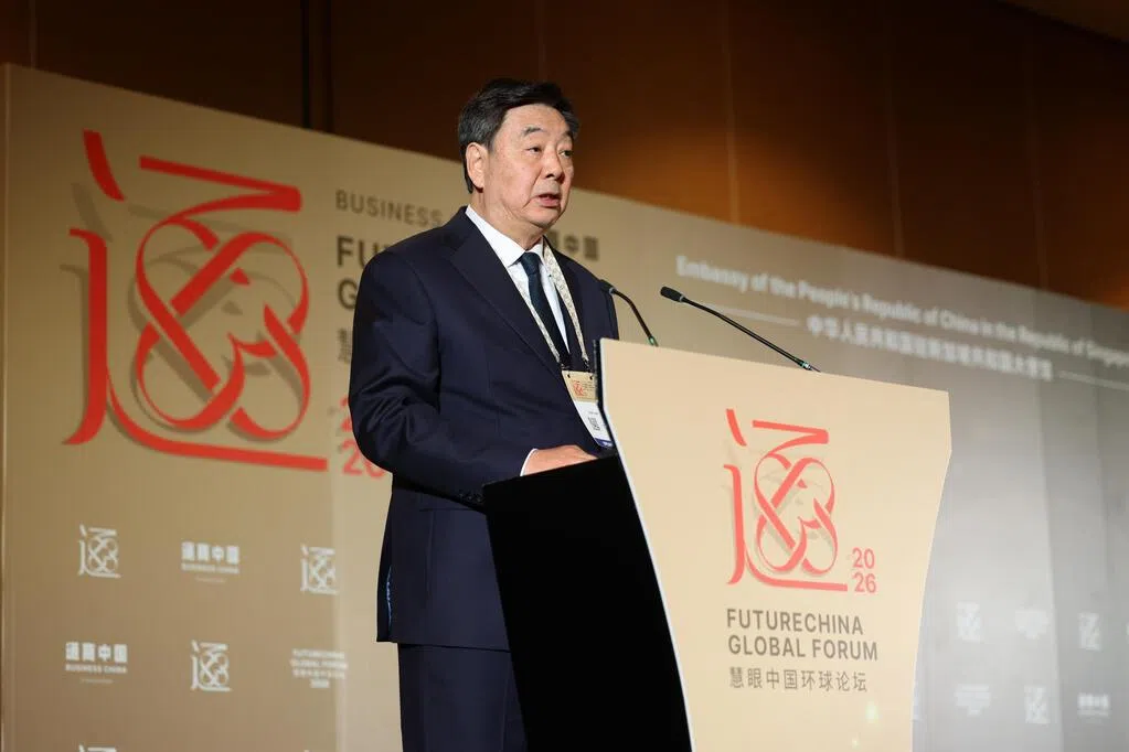 中国特使翟隽：中新两国治国理政理念有许多相通之处