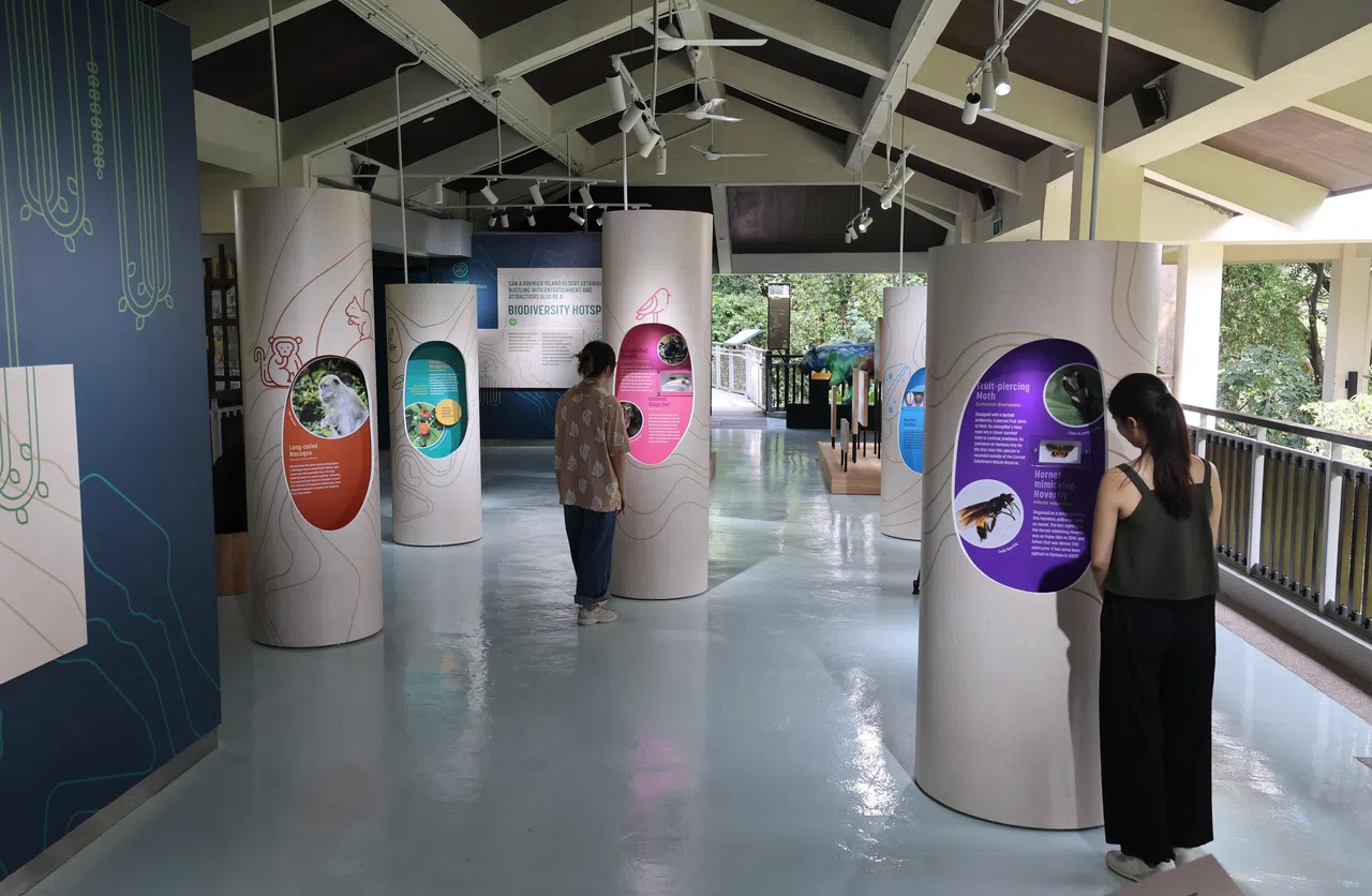 翻新后的圣淘沙自然探索中心设有五个新主题区，让访客了解圣淘沙的动植物生态。（邬福梁摄）