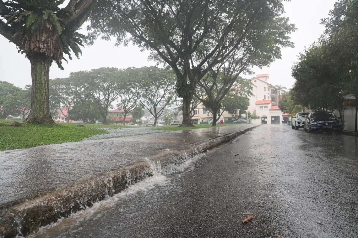 我国全岛多处星期五（11月22日）下午下起倾盆大雨，公用局针对19个地点发出水患风险警告。（李冠卫摄）