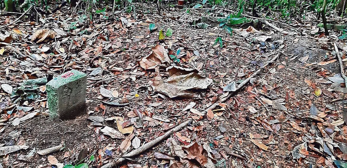 大港内（杜佛森林）的丰兴山界石。