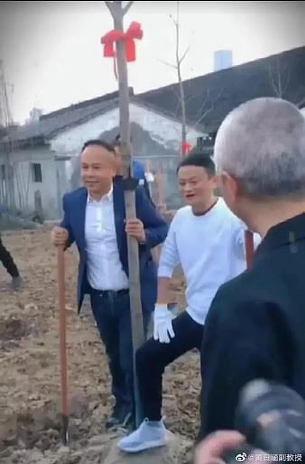 有博主附图称，马云在五一期间种树，时间线和“马某”对不上。（微博）