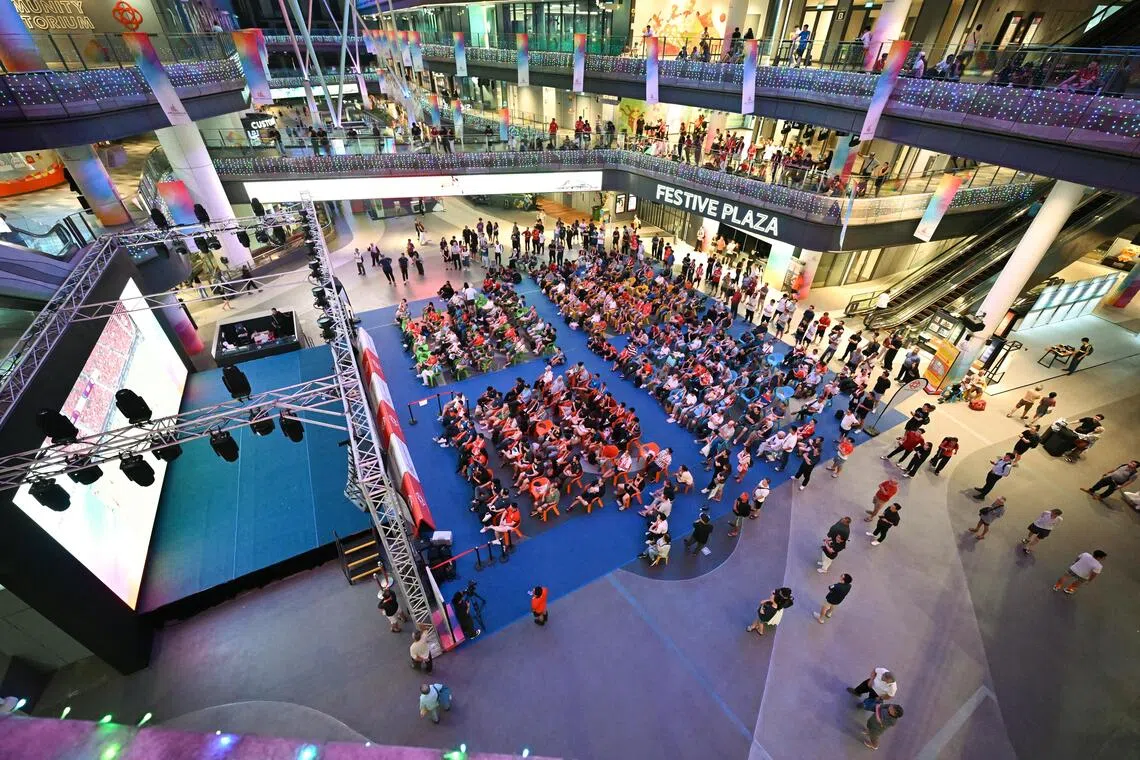 淡滨尼天地设现场看球活动，许多球迷到场为雄狮助威。（海峡时报）