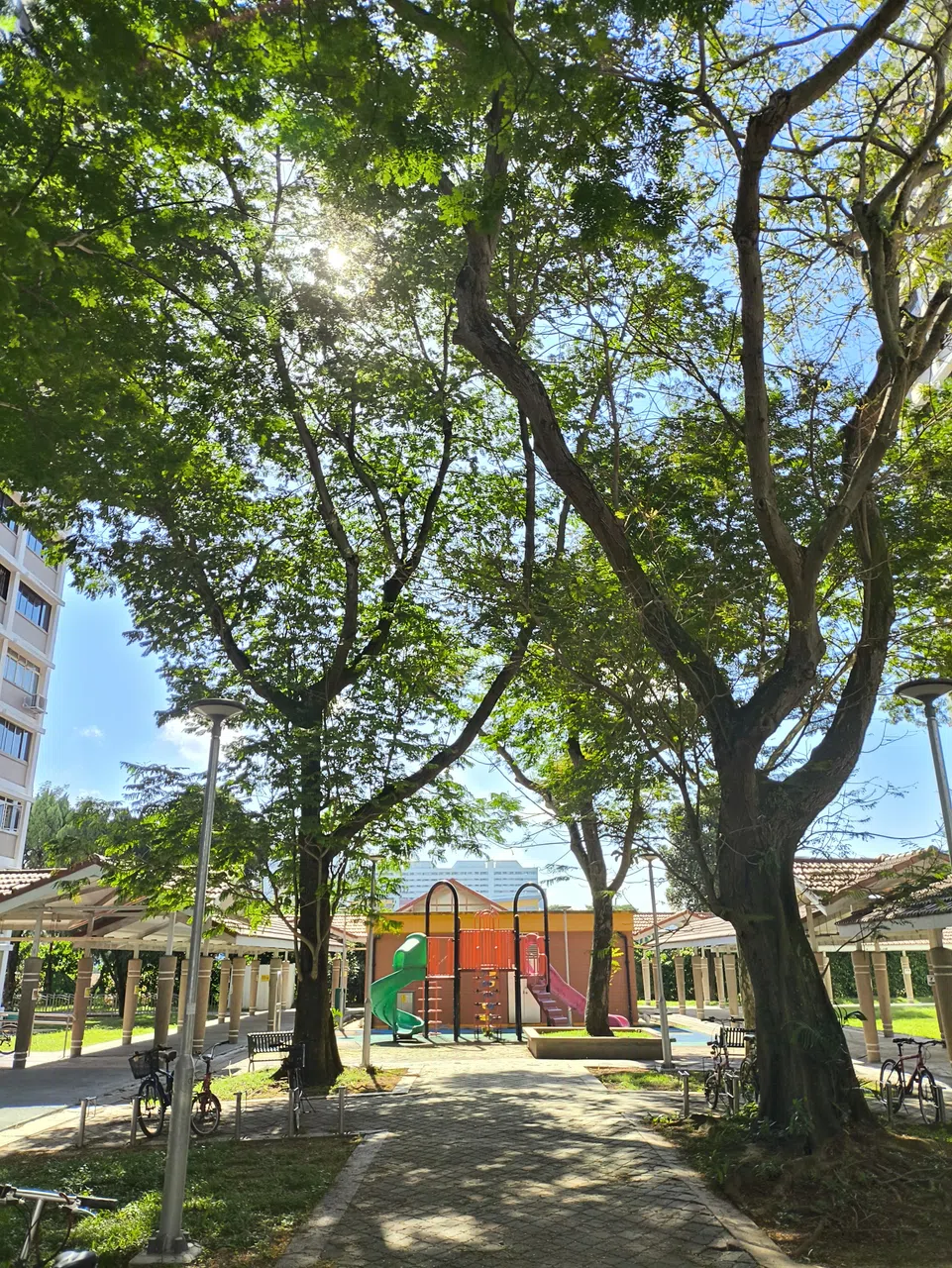 Poco X6 Pro拍摄的景物色彩趋近自然，曝光和白平衡等都没太大问题。（黄少伟摄）