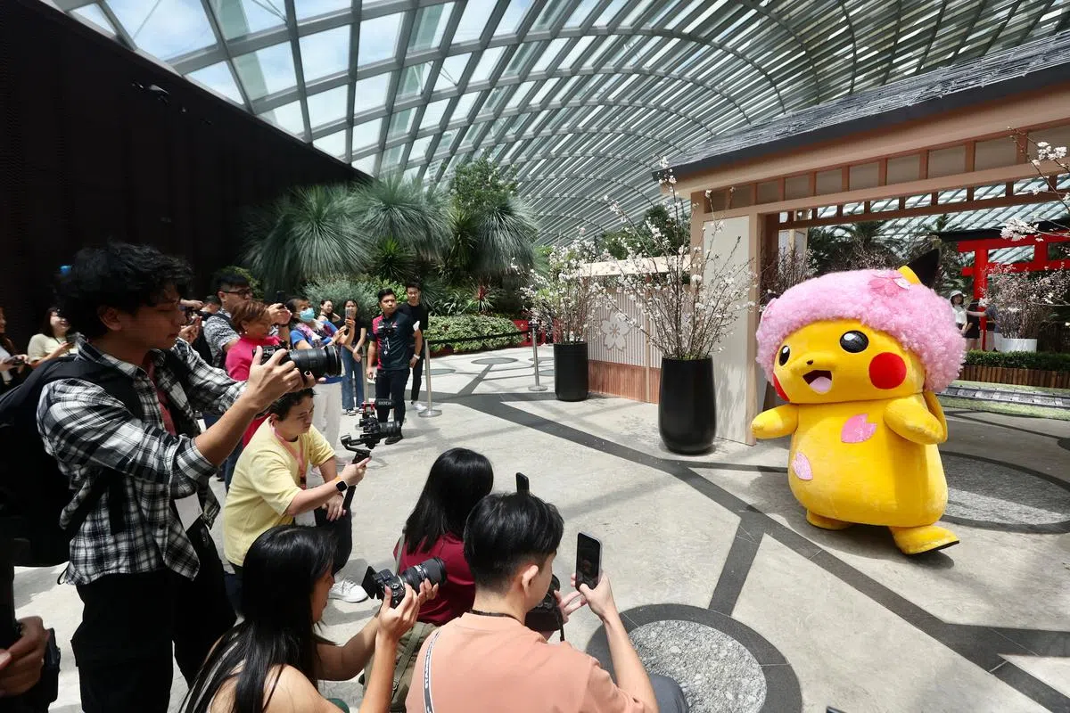 配合樱花展，滨海湾花园特意从日本请来了“樱花爆炸头”皮卡丘。（陈斌勤摄）