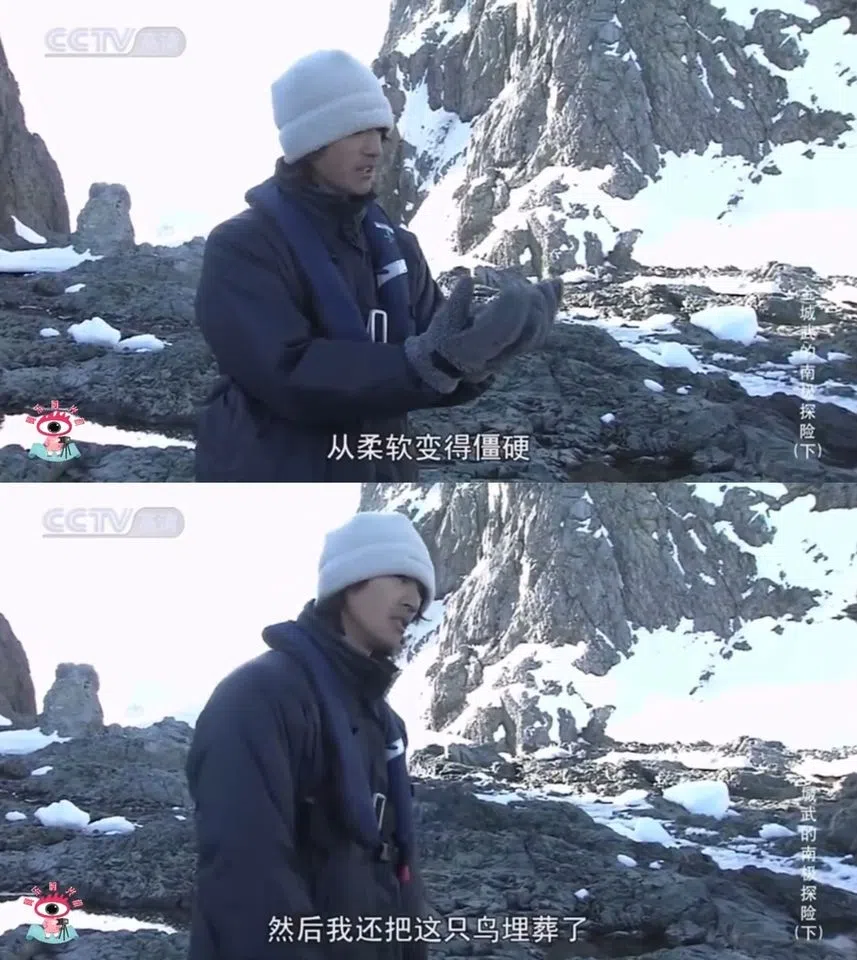 金城武2003年在《金城武南极探险之旅》节目上说的话最近被翻出。（互联网）