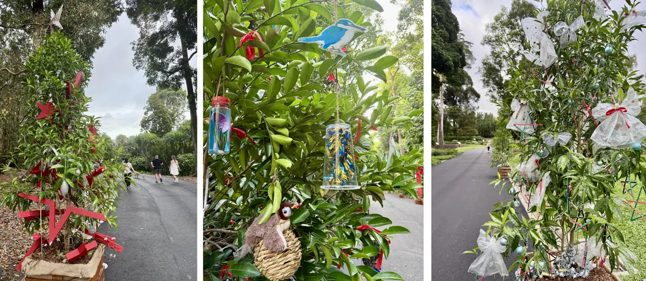 圣诞树装饰五花八门，装饰者的良苦用心值得我们细细品味。（陈映蓁摄）