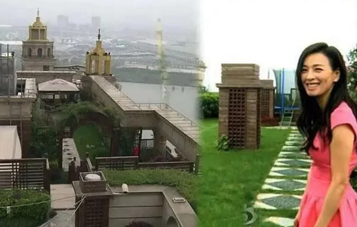 张庭曾公开自己的豪宅。（互联网）