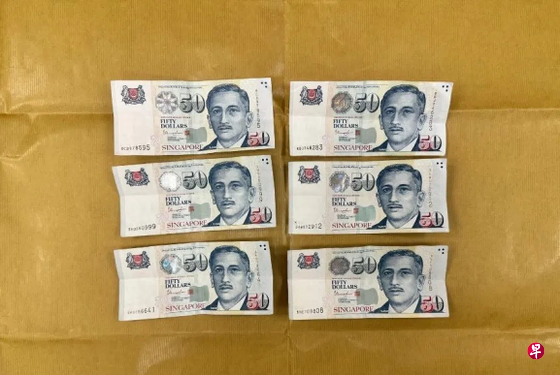 涉当街抢走女子300元现金警方一小时内逮捕29岁男子| 联合早报