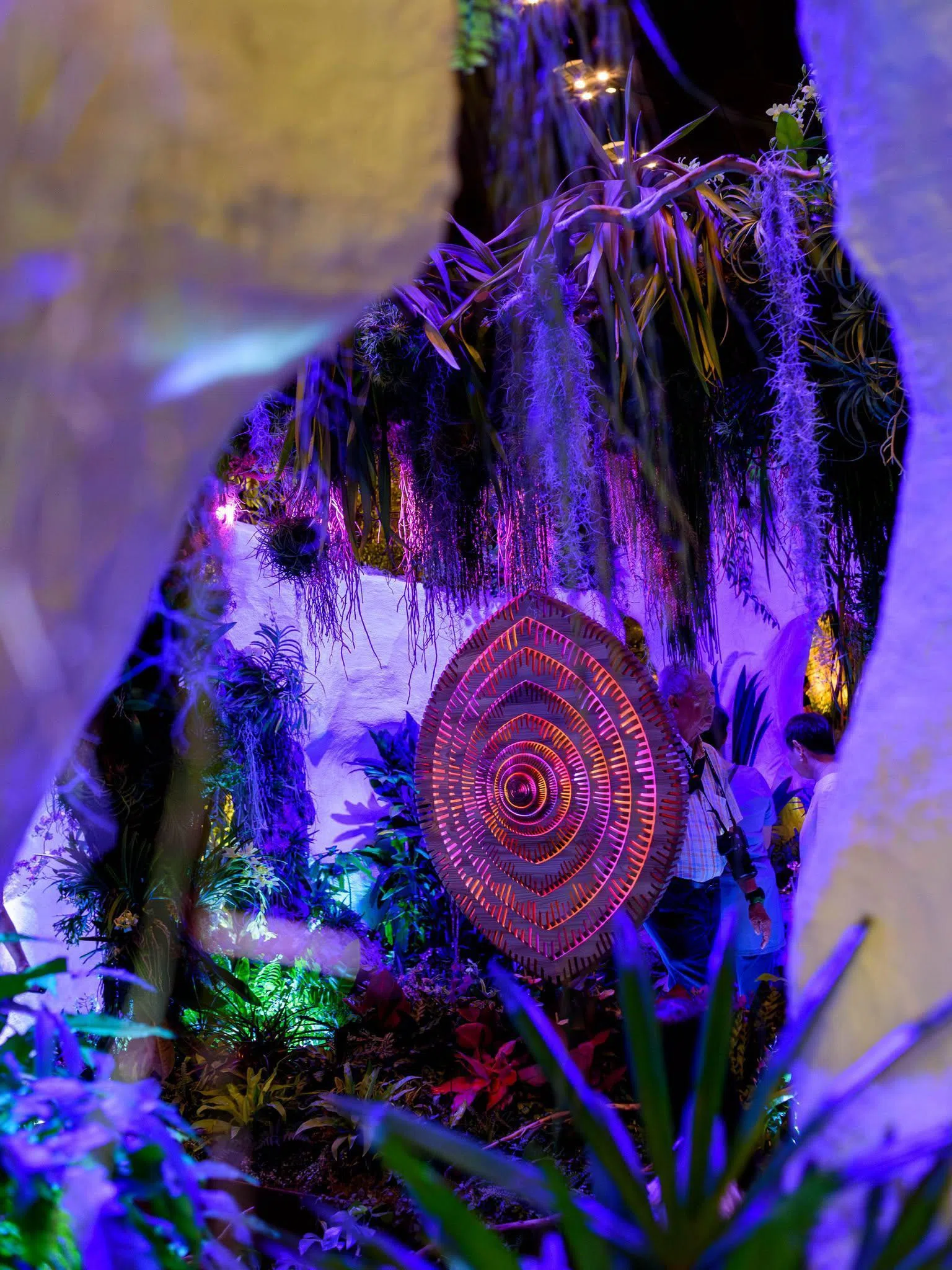 摄于2024年在新达城举行新加坡花园节。图中的“Portals to Paradise”作品，由新西兰设计师打造，将“生命之树”元素融入DNA结构造型，并结合瀑布与灯光效果，呈现丰富色彩。（取自李资政脸书）