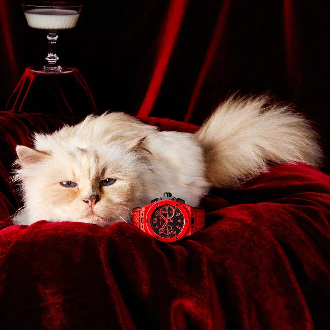 已故时尚大师卡尔·拉格斐的宠物猫，是宇舶Big Bang系列20周年庆最新广告大片主角。（宇舶提供）