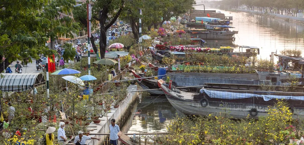 越南民众在胡志明市的著名平东码头花市买花，为家里布置一番，讨个花开富贵好彩头。（彭博社）