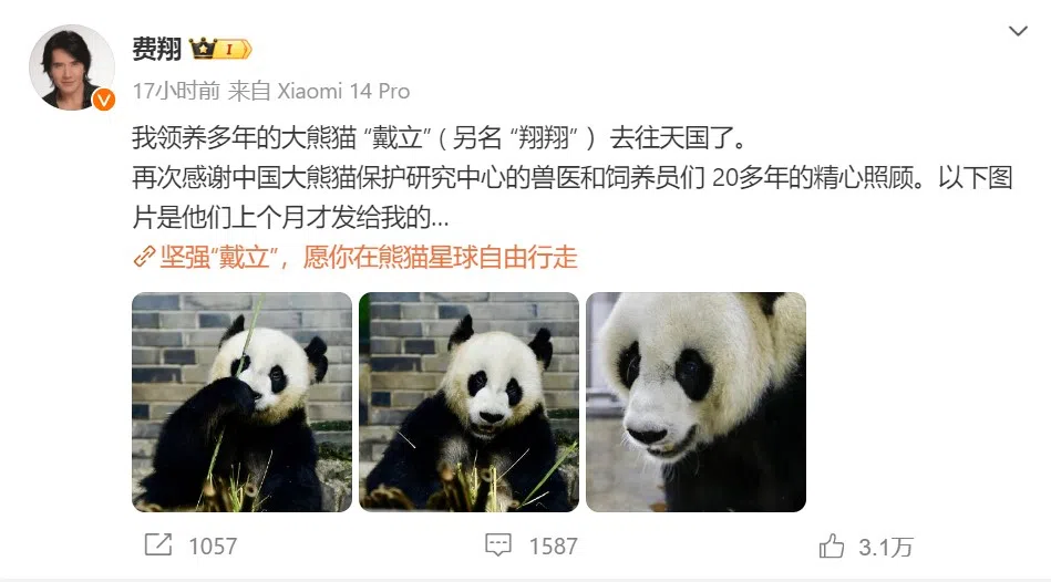 费翔发微博悼念熊猫戴丽。（微博截图）