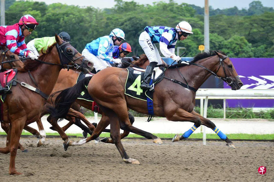 上财年公众投注博彩体育与赛马共114亿元历来最高| 联合早报