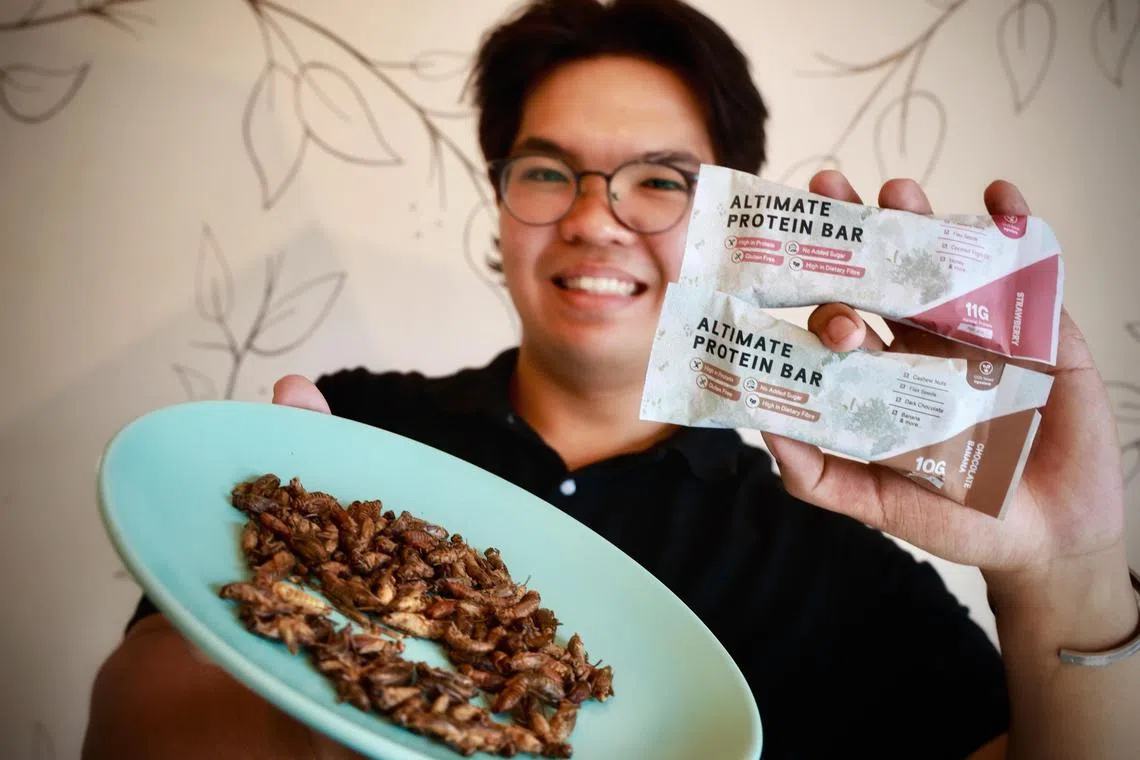 Altimate Nutrition过去六个月卖出3000多个含有蟋蟀蛋白质的蛋白质棒。（特约陈来福摄）