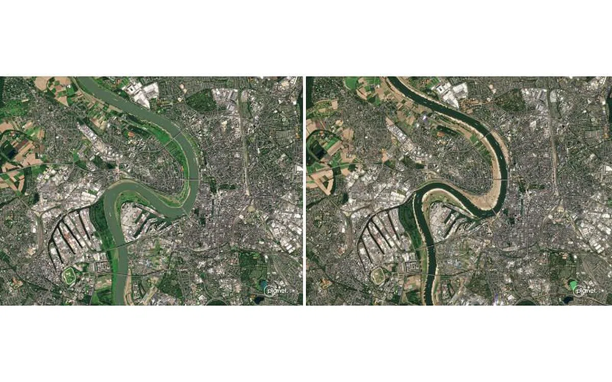 卫星图像显示德国杜塞尔多夫附近的莱茵河在2021年8月（左）和 2022年8月（右）的水位差距。（路透社）