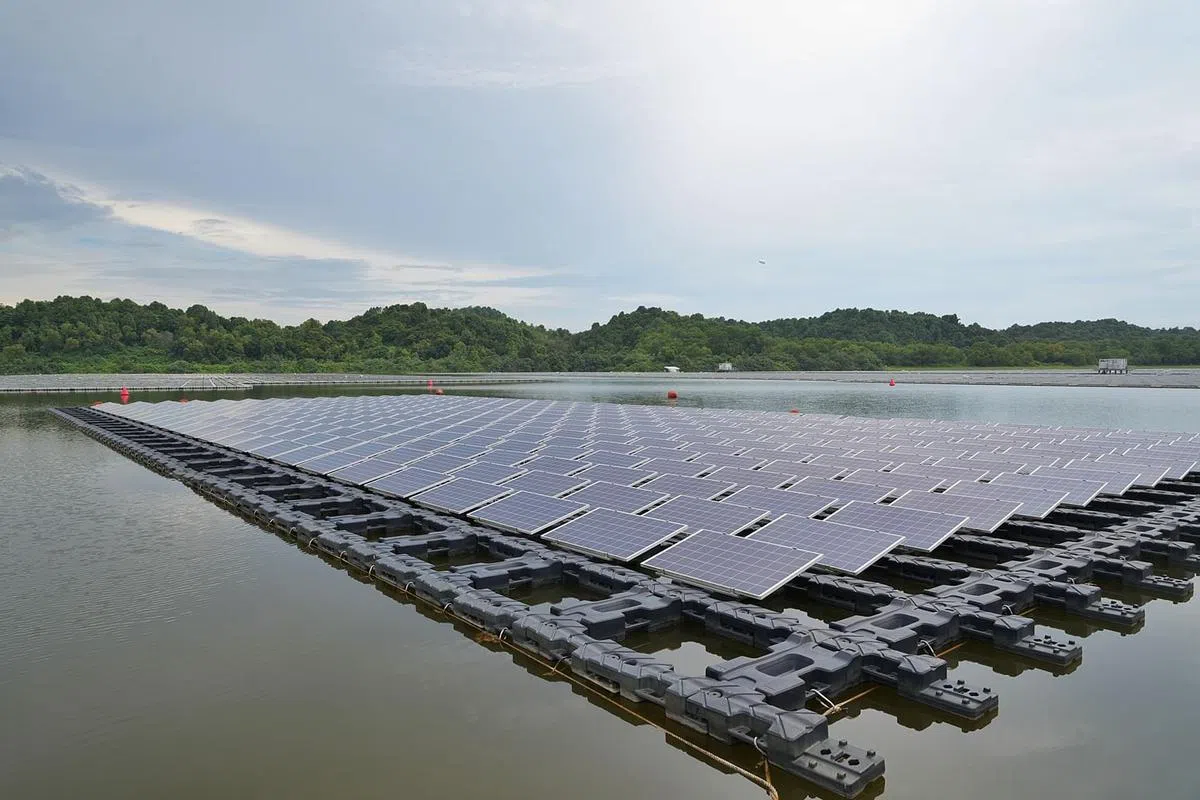 淡马锡的投资委员会从几个方面审查投资对气候和环境的影响，包括科技创新和不断变化的客户需求，能否带来新机遇。（档案照）