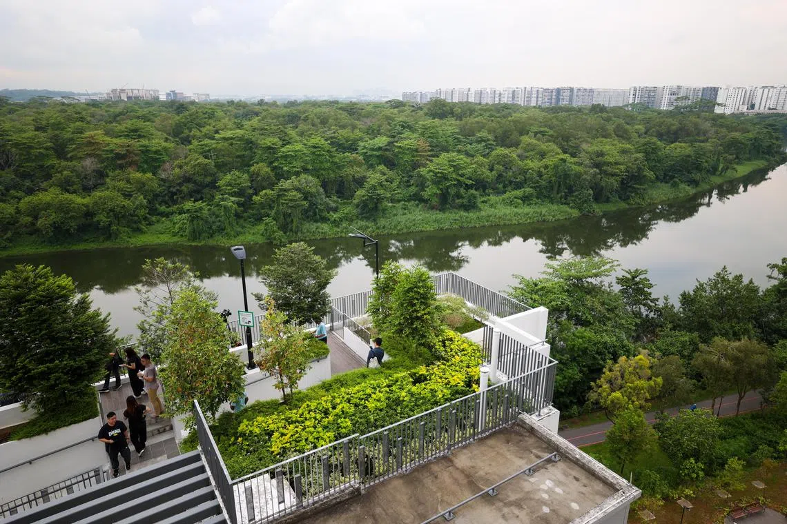 居民可在14个空中露台和四个空中花园上，俯瞰美景。（林明顺摄）