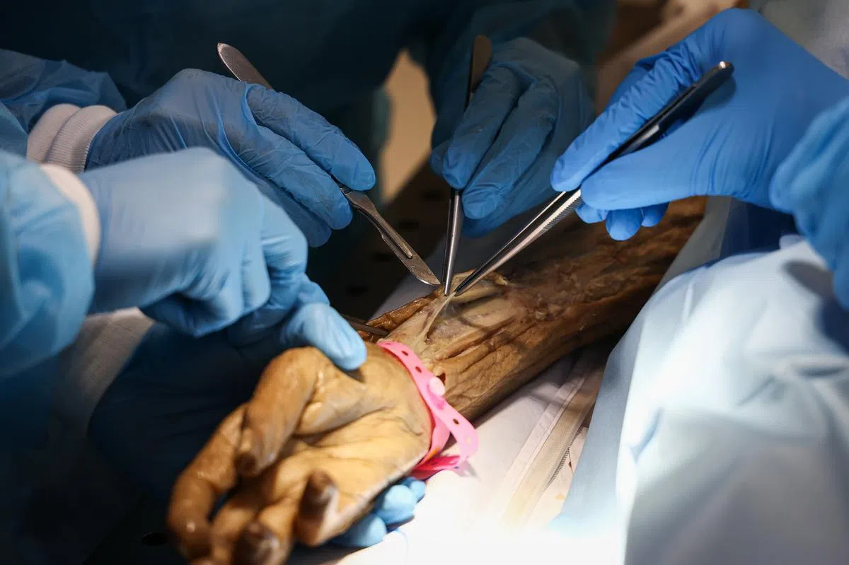 解剖课，学习和研究人体构造。（李健玮摄）