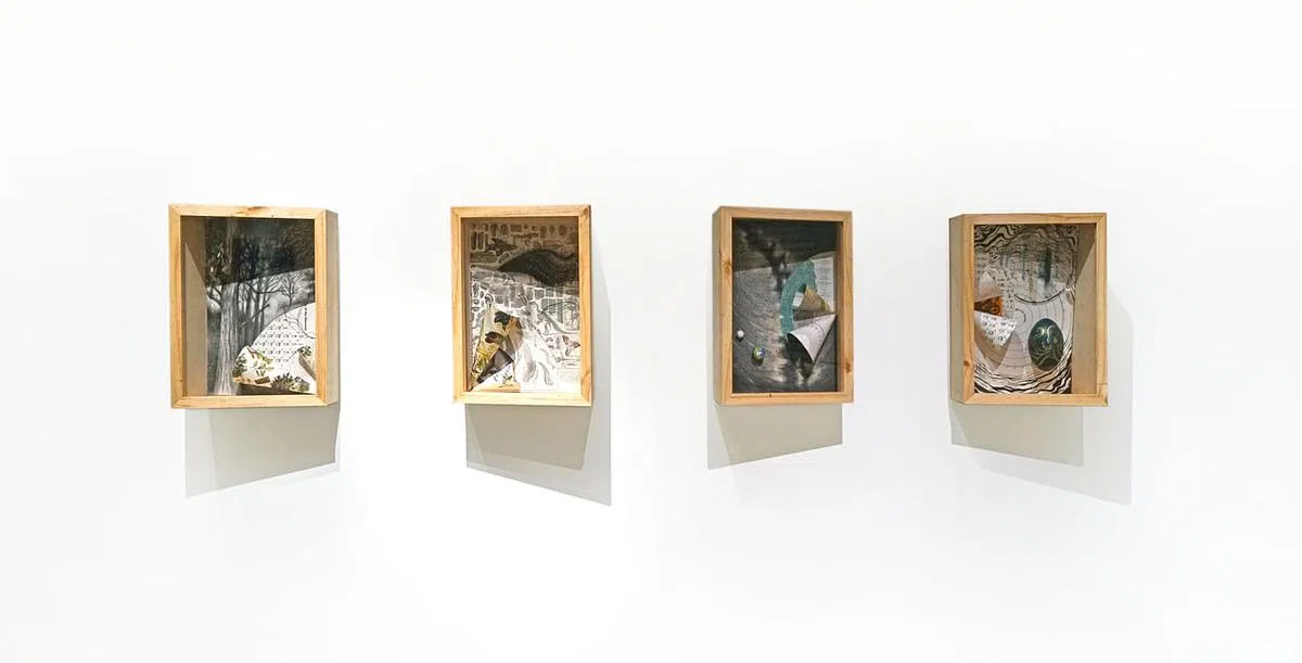 艺术家苏西·琳函混合媒体自制箱盒《书籍图书馆：孵化器》（2021）。