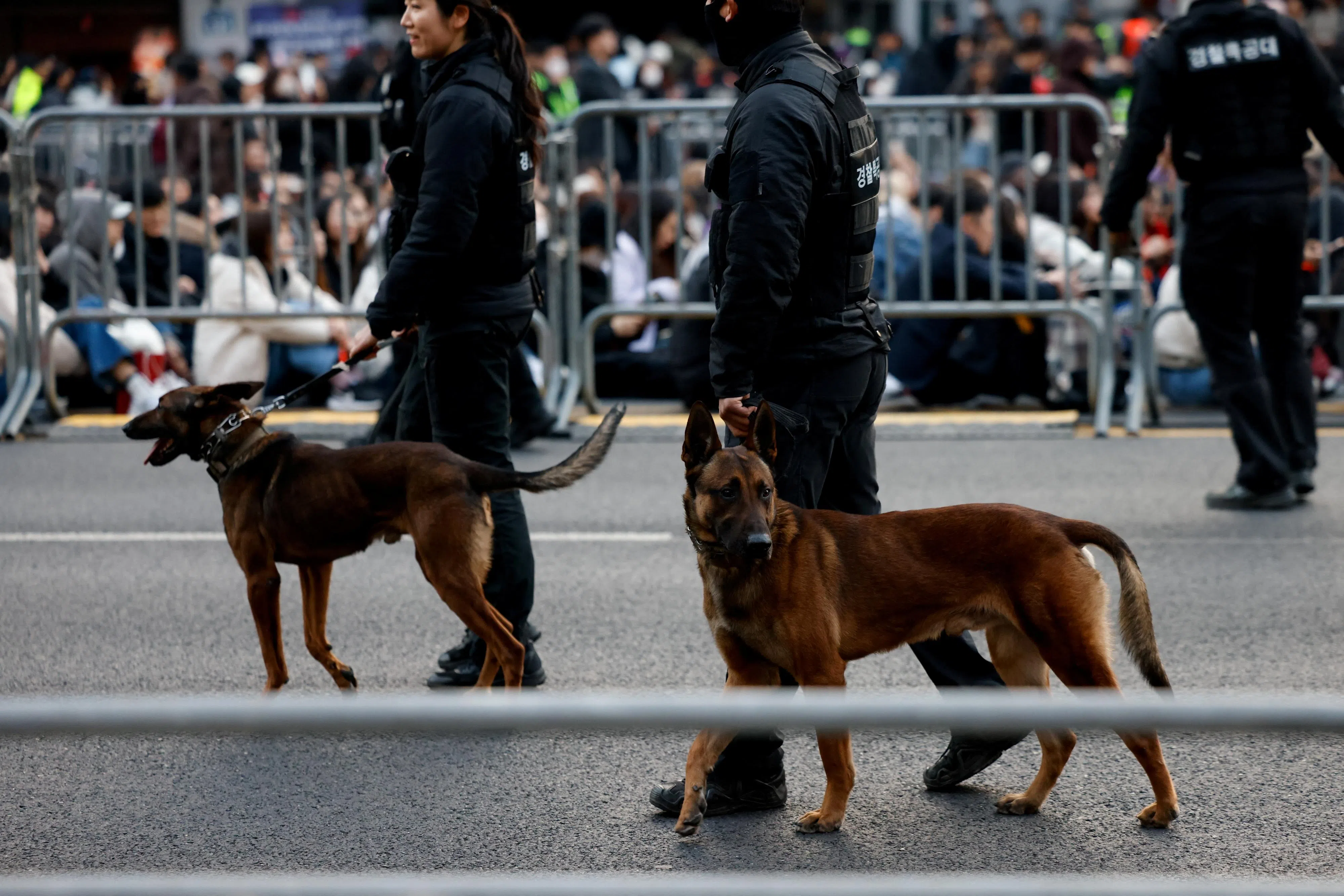 担心人潮太多引来恐攻，演唱会现场触动1万5000名工作人员，连狗狗都用上。（路透社）