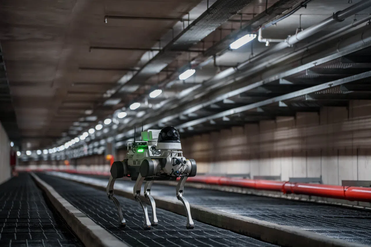 机器狗SPock可以自主导航检查较老旧的电缆隧道，提供及时和精确的反馈，例如隧道内是否有渗水或照明等问题。（图/新能源提供）