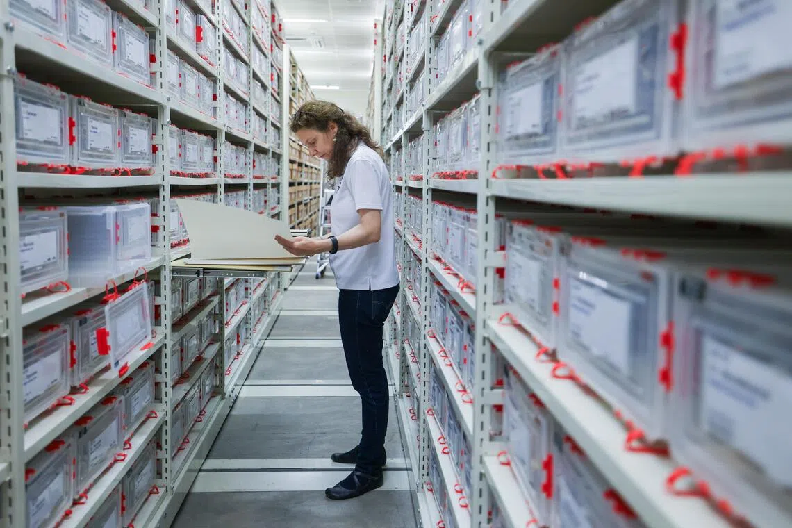 为了方便数码化工作，馆中职员花了两年左右，将标本和藏品按进化和地理顺序进行整理、装进特制塑料盒并贴上类别标签和QR码。（吴先邦摄）