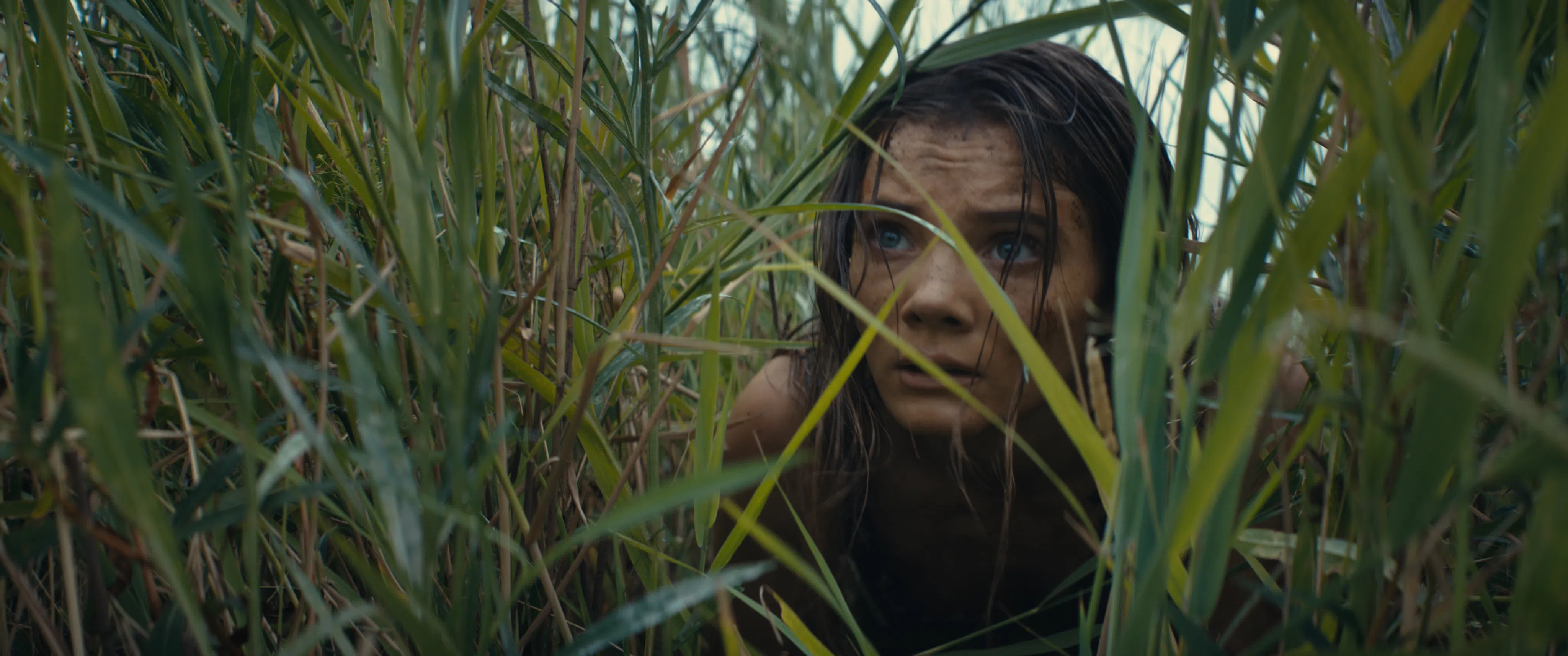 英国演员芙蕾雅艾伦是《猩球崛起：新世界》的人类主角。（迪士尼提供）