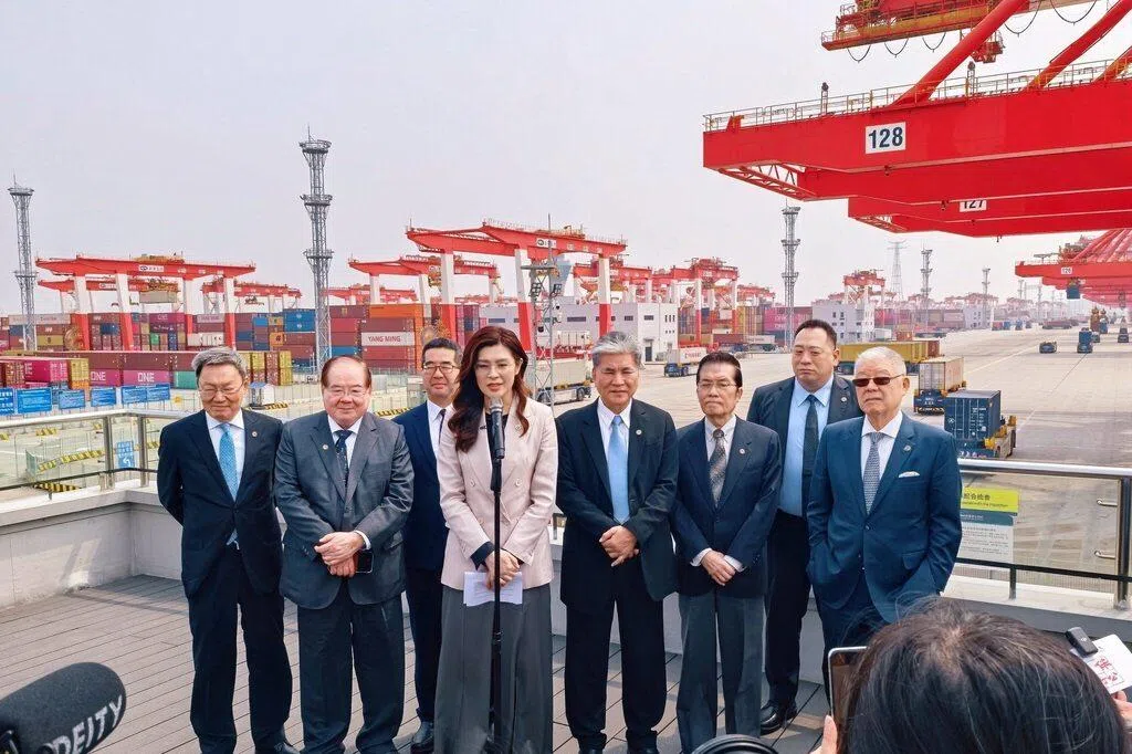 【视频】郑丽文上海参访：在天空飞的应该是鸟 不是导弹