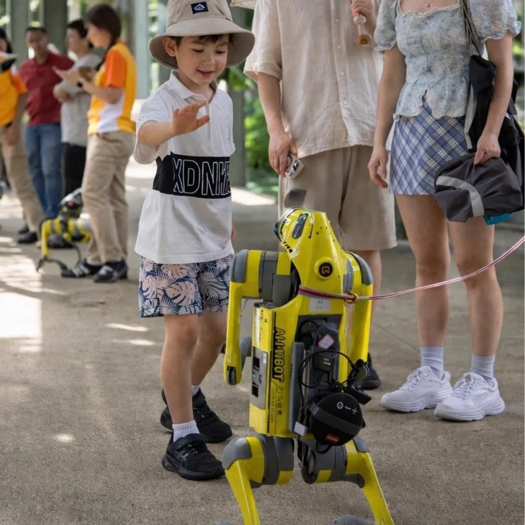 在为期一个月的试点计划，机器狗会借助AI和马蜂窝的旅游内容生态，用英语和华语为游客提供讲解和实时帮助。（取自圣淘沙官网）