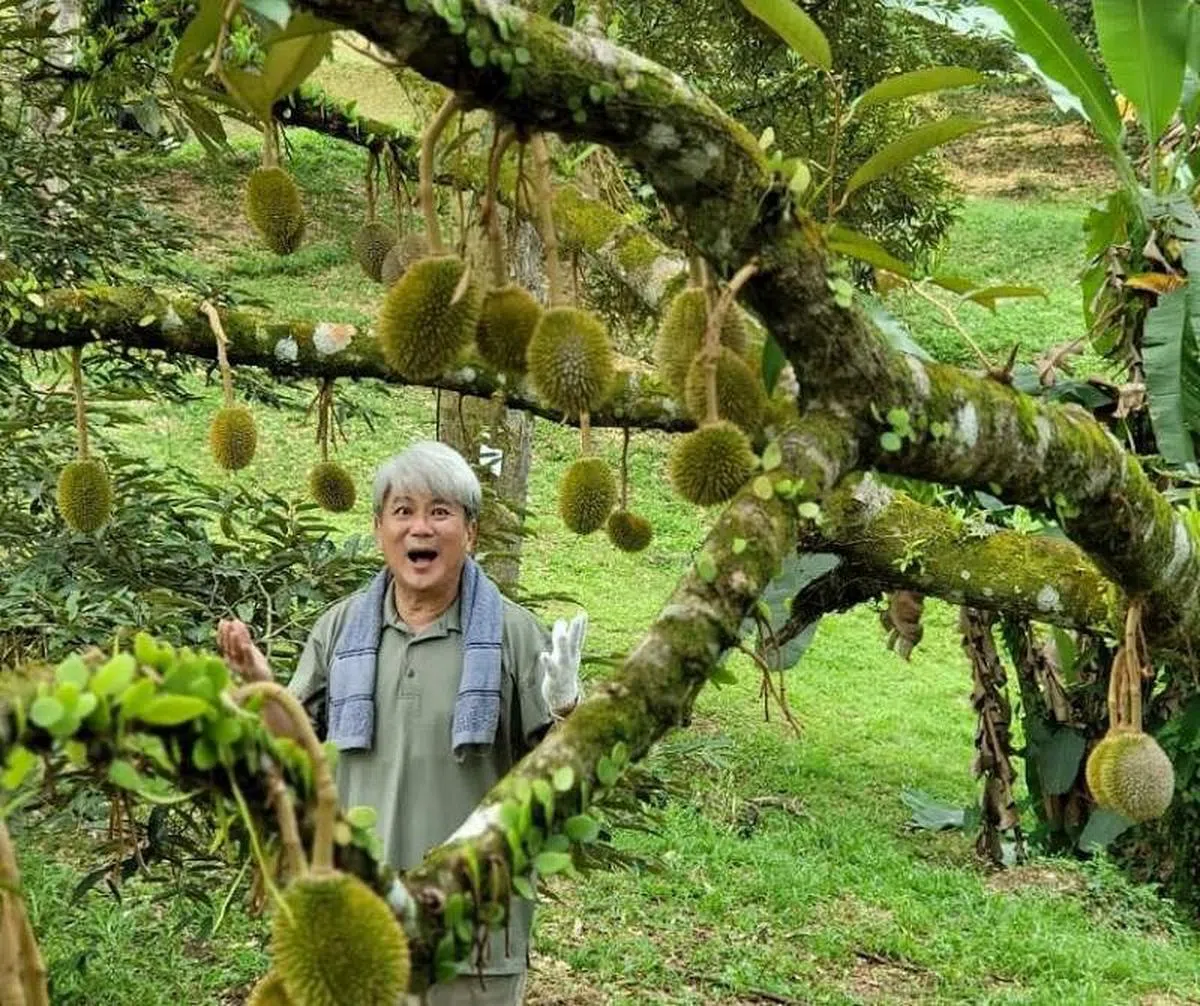 梁志强掌镜的贺岁片《猫山王中王》旗开得胜 。（取自网络） 