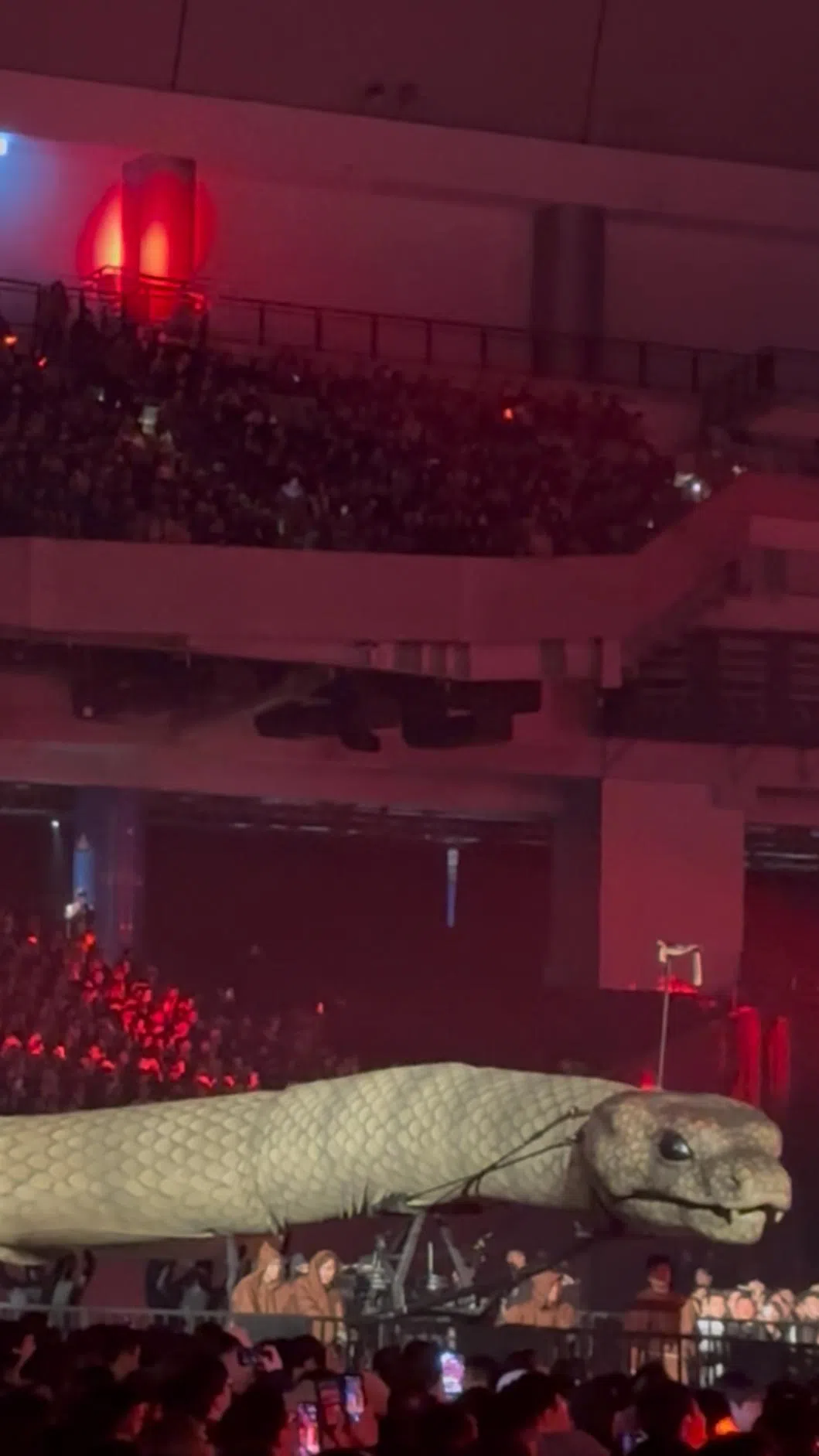 全长30公尺的巨蟒出现在大巨蛋，带来震撼的视觉效果。（互联网）