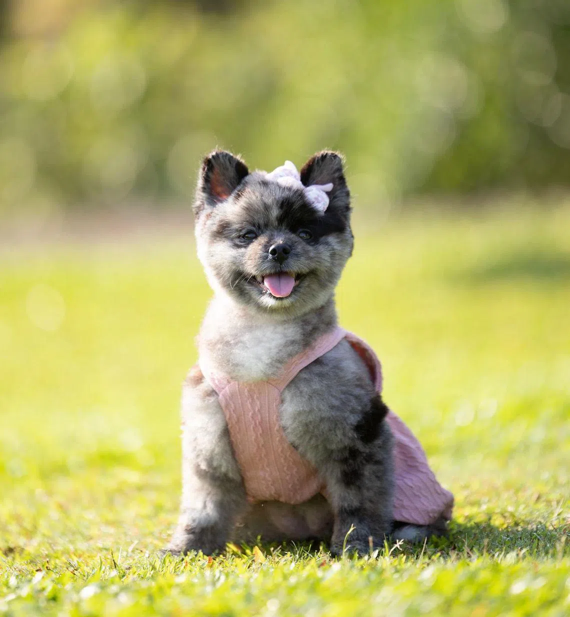 Lovette（受访者提供）