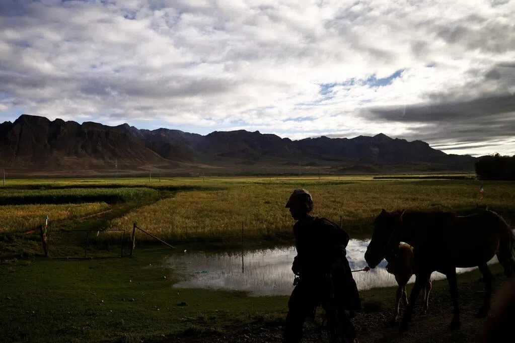 中国藏语大模型DeepZang升级 融入基层治理等场景