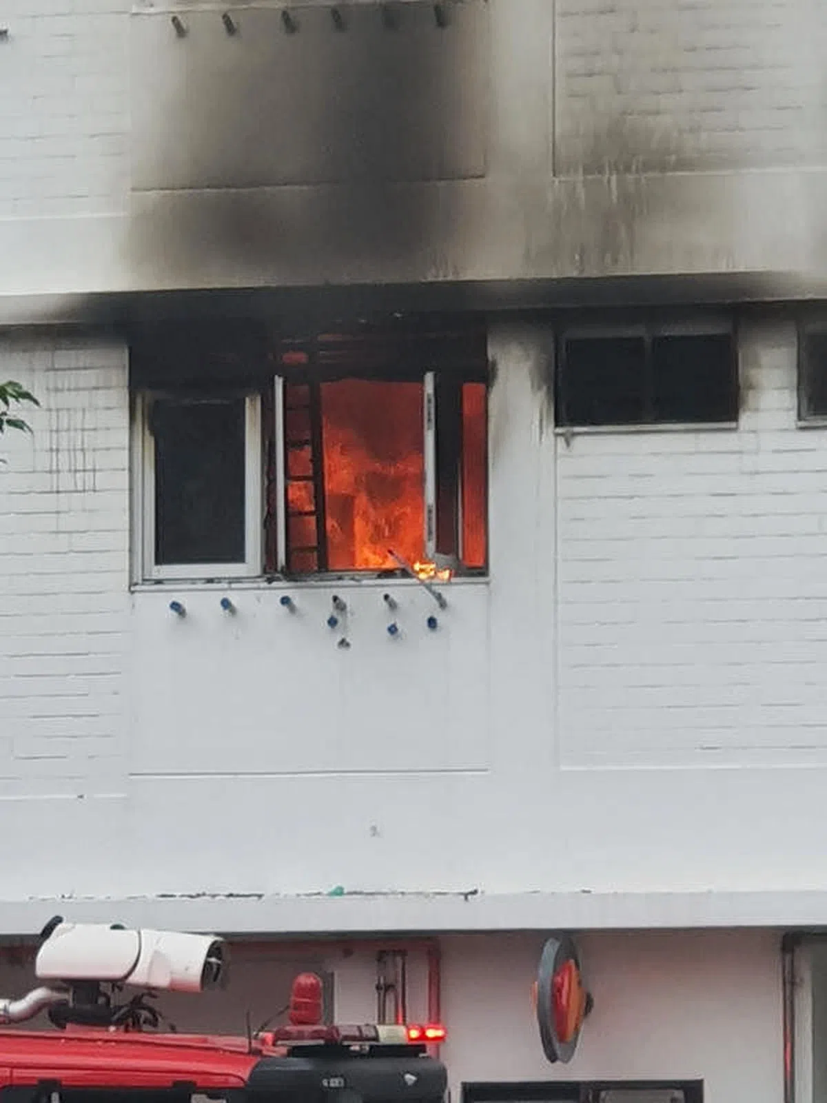 二楼单位火势凶猛。（读者提供）