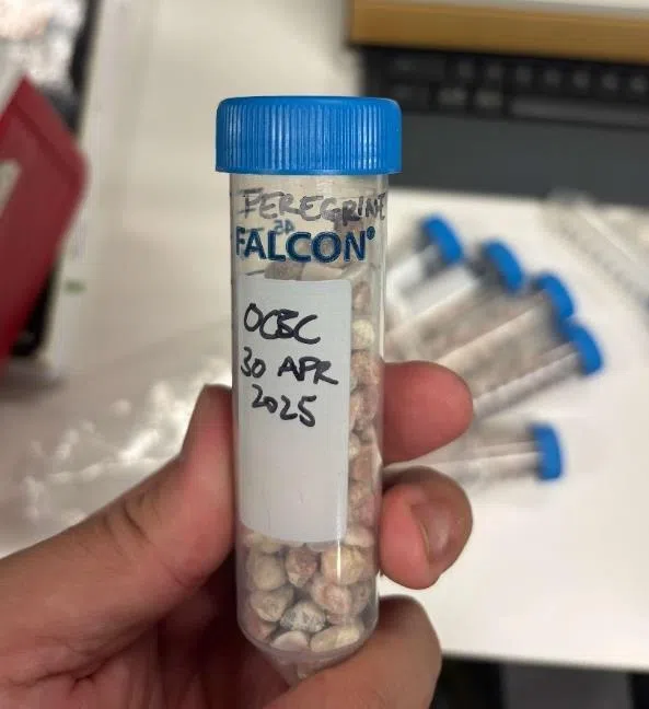 采集的碎石中含有猎物的脱氧核糖核酸（DNA）。（国家公园局提供）