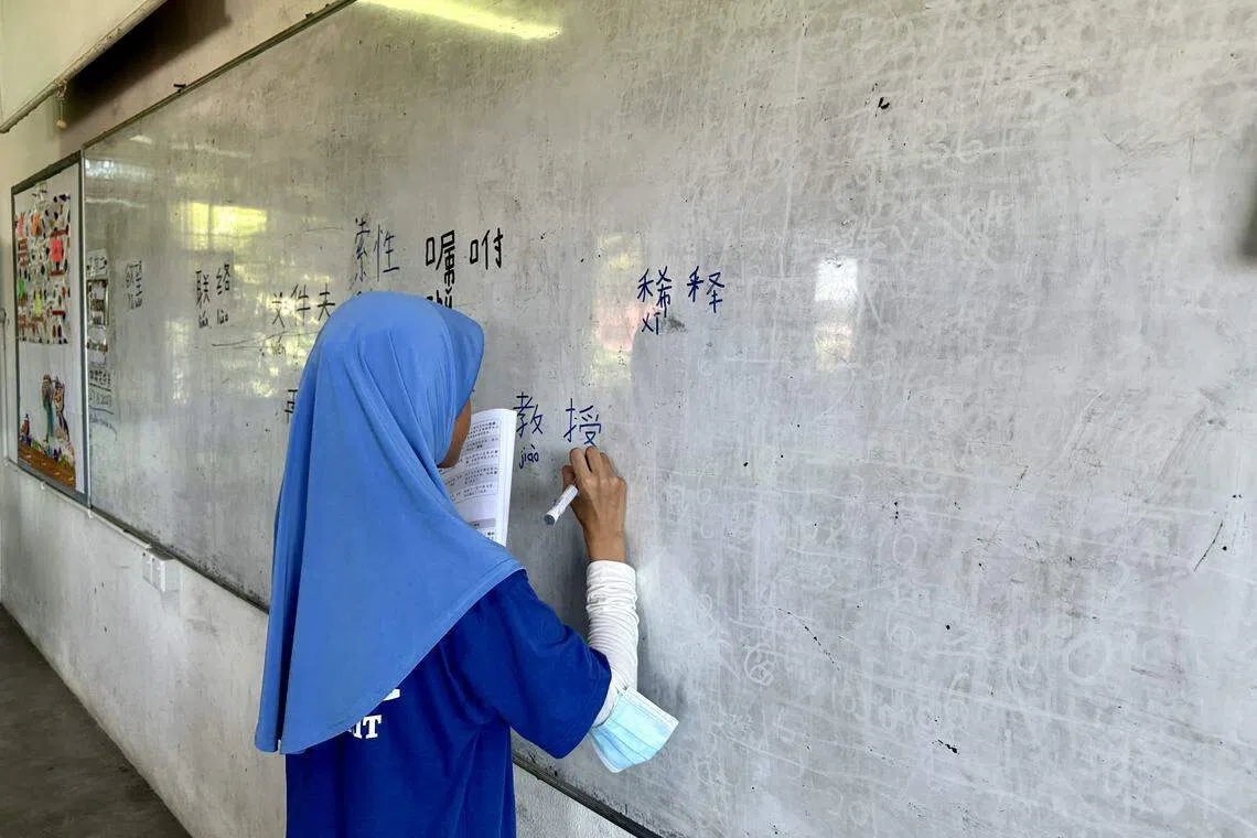 马来同学和其他同学一起上华文课，学习华文生字，一些也能说得一口流利的华语。（陈雅恩摄）
